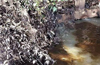 Chemical discharges in water body, MRPL  says steps taken to extract oil
